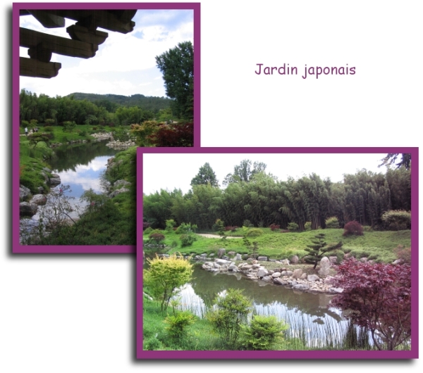 jardin japonais