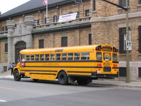les bus d'écoliers